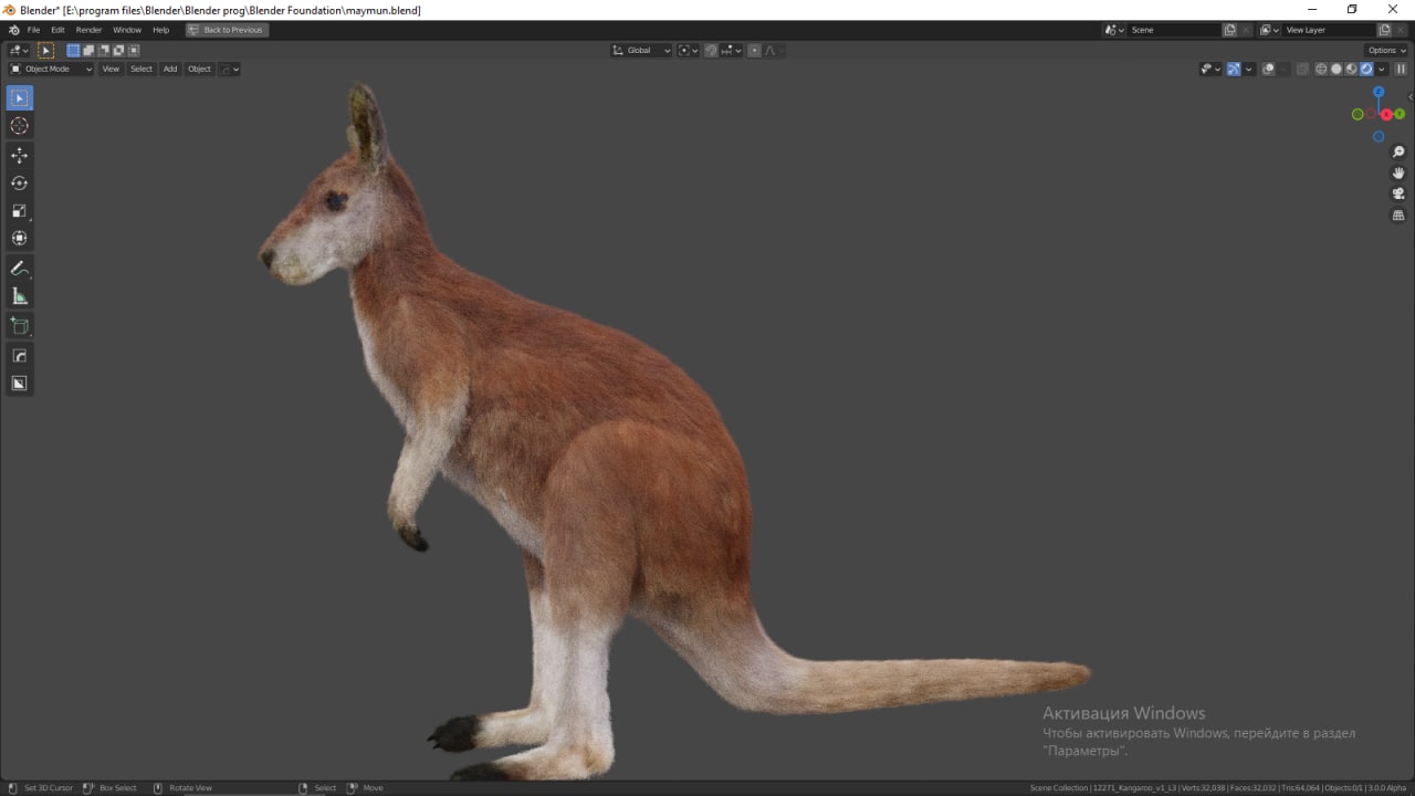 Kangaroo